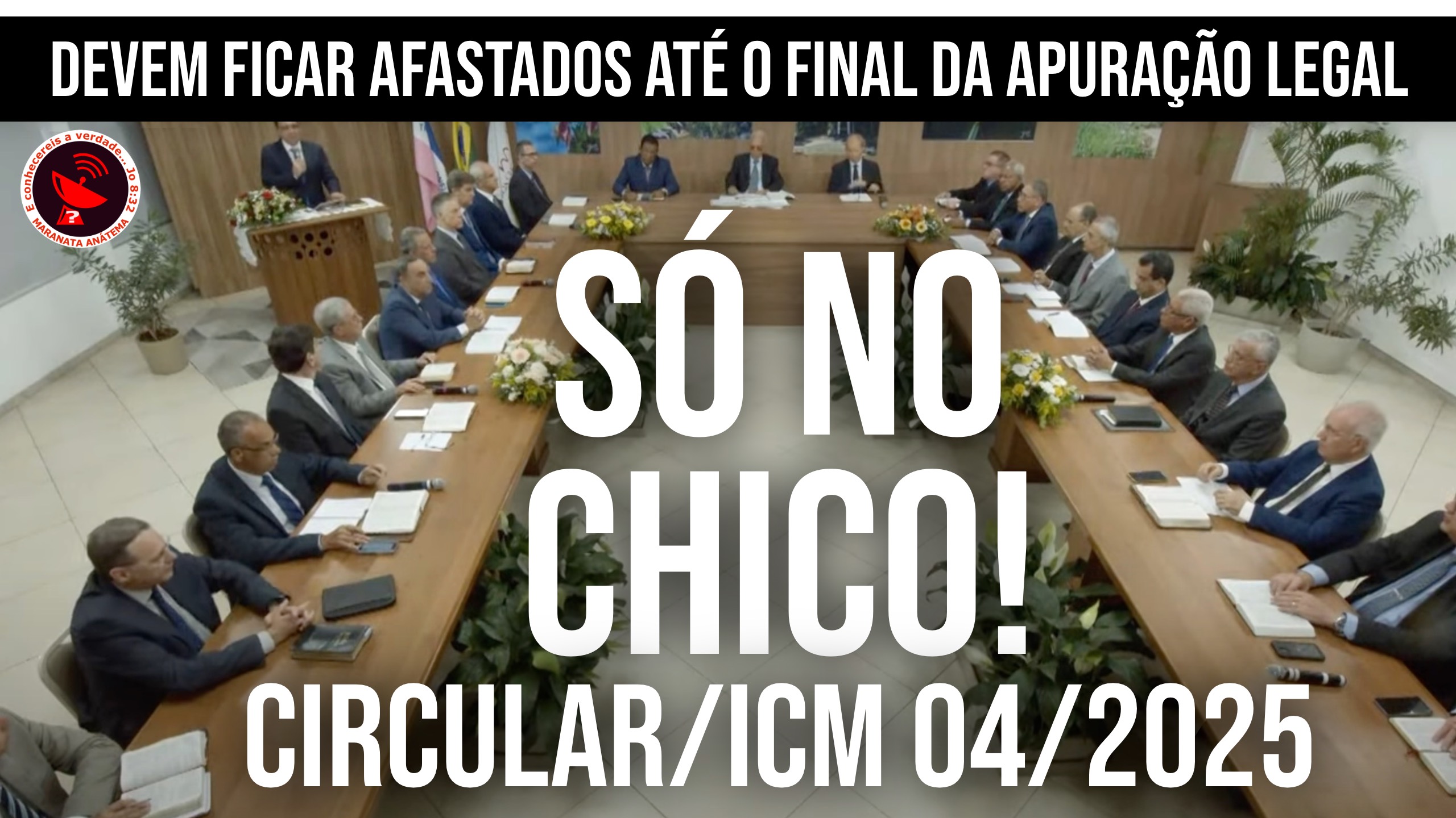 PAU NO CHICO